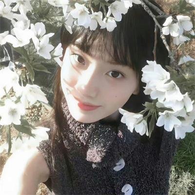 樱花盛开